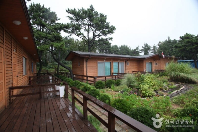 Pinocchio pension - Goodstay  (13/28)