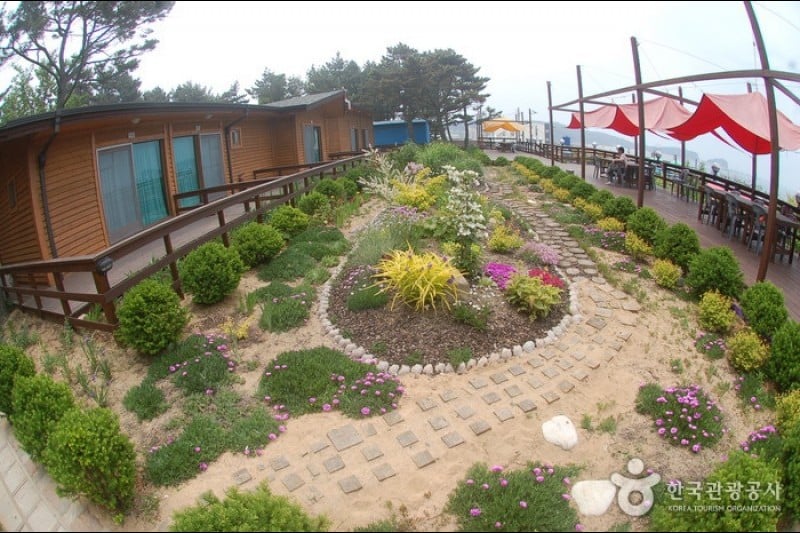 Pinocchio pension - Goodstay  (14/28)
