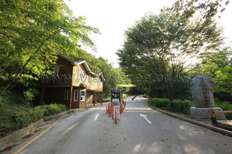 Yeonginsan Natural Forest (영인산자연휴양림) (2/26)