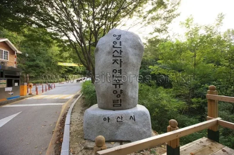 Yeonginsan Natural Forest (영인산자연휴양림) (3/26)