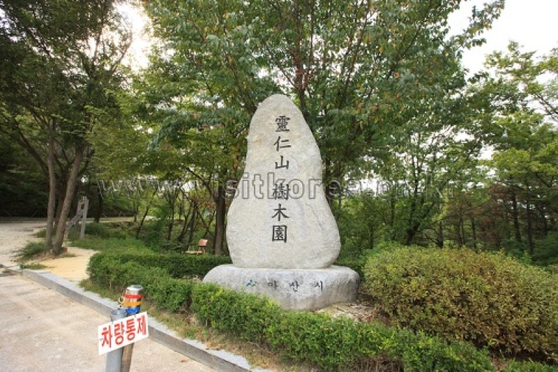 Yeonginsan Natural Forest (영인산자연휴양림) (5/26)