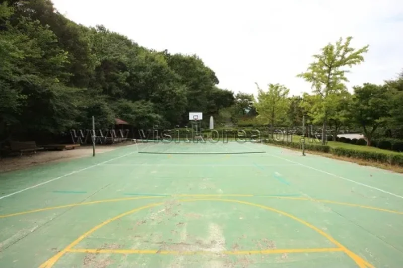 Yeonginsan Natural Forest (영인산자연휴양림) (8/26)