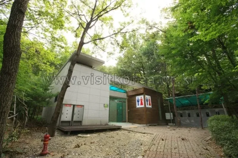 Yeonginsan Natural Forest (영인산자연휴양림) (10/26)