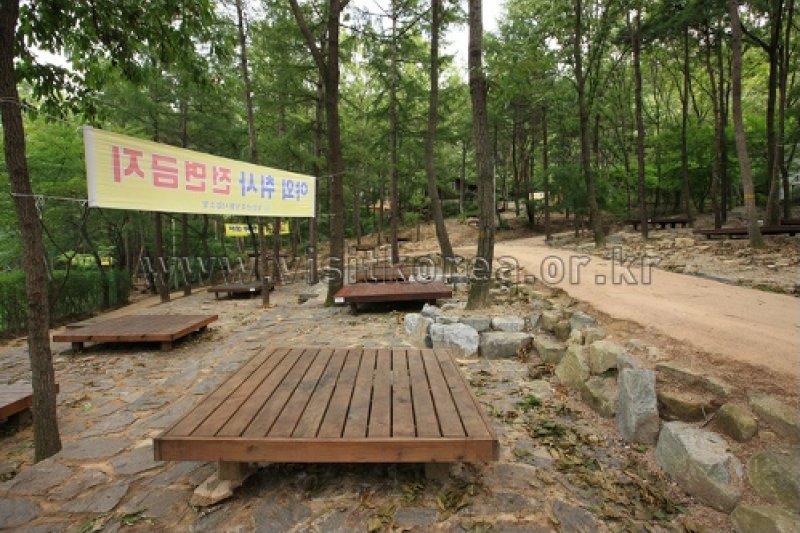 Yeonginsan Natural Forest (영인산자연휴양림) (11/26)