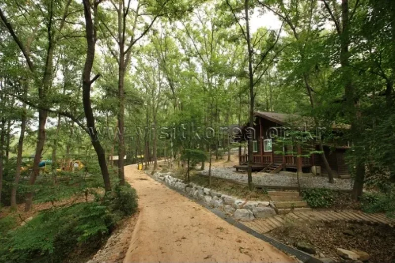 Yeonginsan Natural Forest (영인산자연휴양림) (14/26)