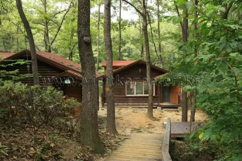 Yeonginsan Natural Forest (영인산자연휴양림) (15/26)