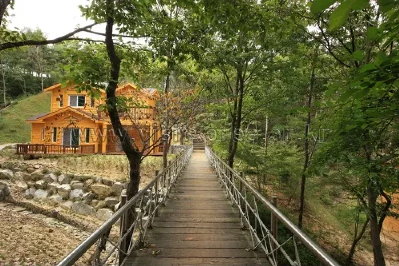 Yeonginsan Natural Forest (영인산자연휴양림) (18/26)