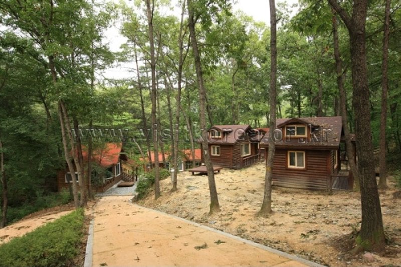Yeonginsan Natural Forest (영인산자연휴양림) (19/26)