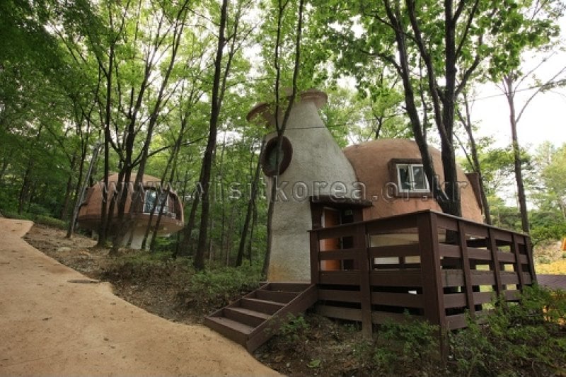 Yeonginsan Natural Forest (영인산자연휴양림) (20/26)