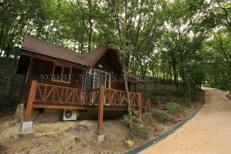 Yeonginsan Natural Forest (영인산자연휴양림) (21/26)