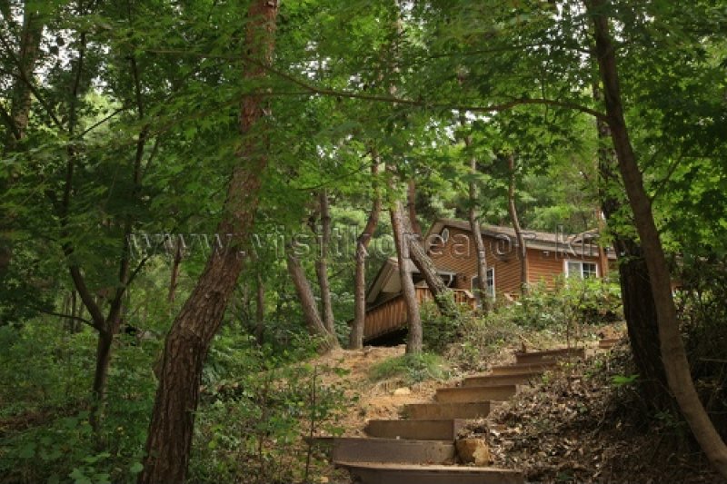 Yeonginsan Natural Forest (영인산자연휴양림) (22/26)