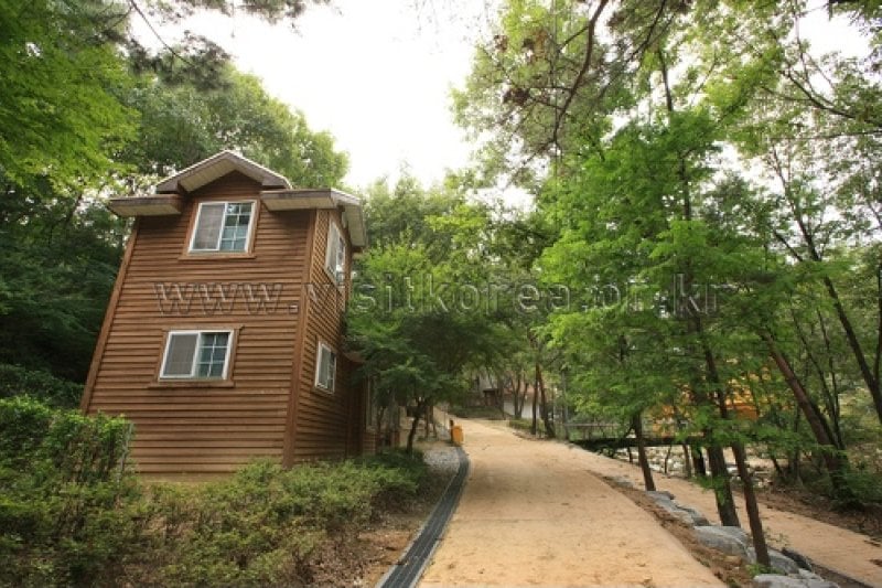 Yeonginsan Natural Forest (영인산자연휴양림) (23/26)