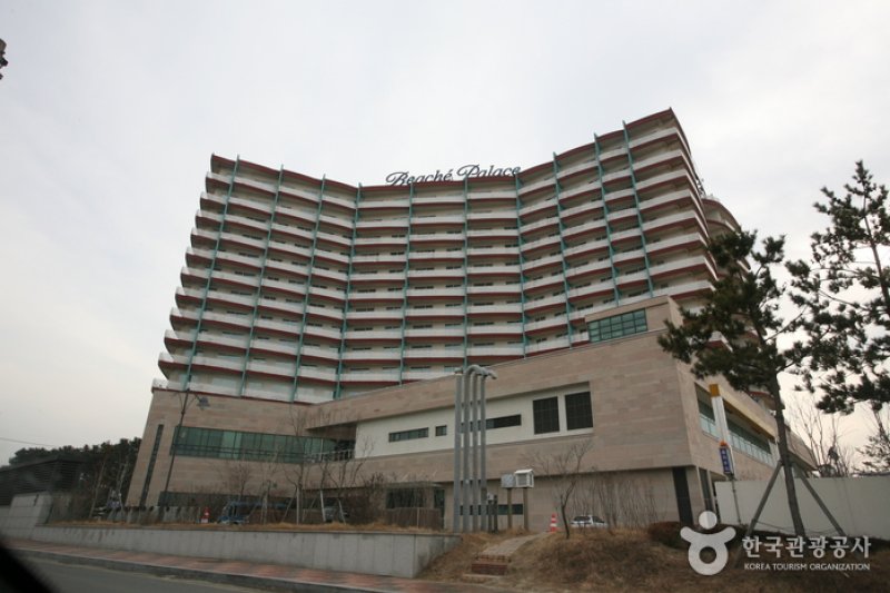 Muchangpo Beache Palace (무창포 비체팰리스) (2/16)