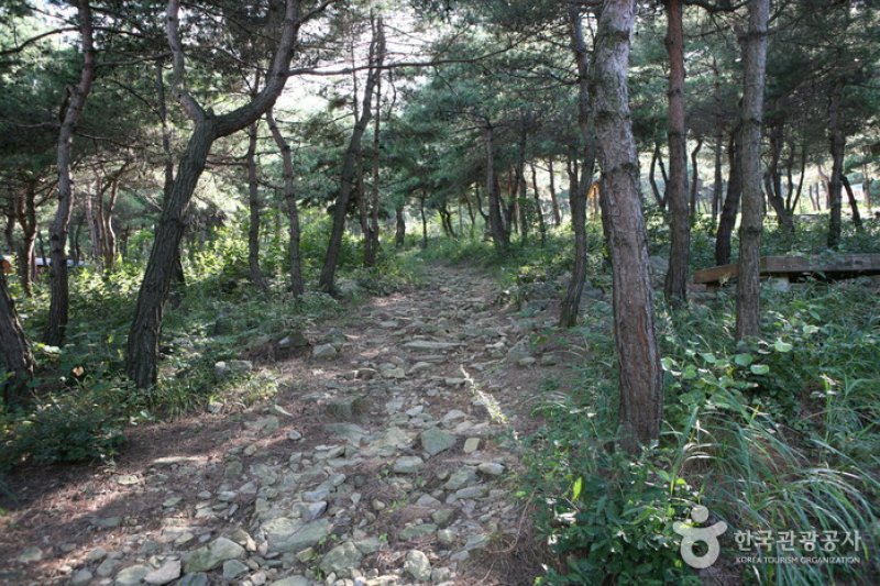 Taehaksan Recreational Forest  (2/6)