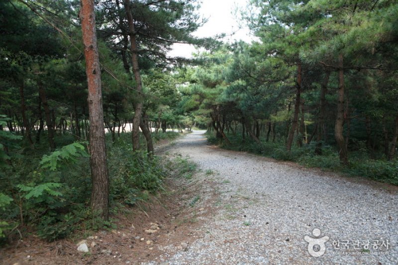 Taehaksan Recreational Forest  (4/6)