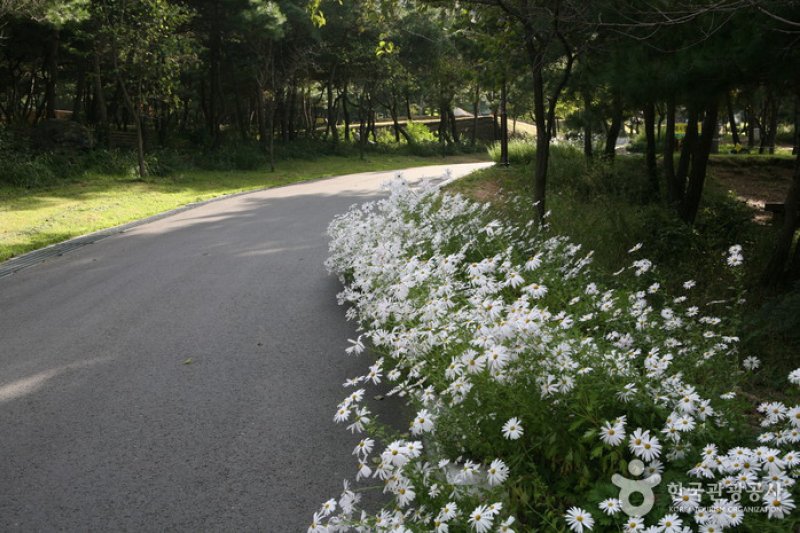 Taehaksan Recreational Forest  (6/6)