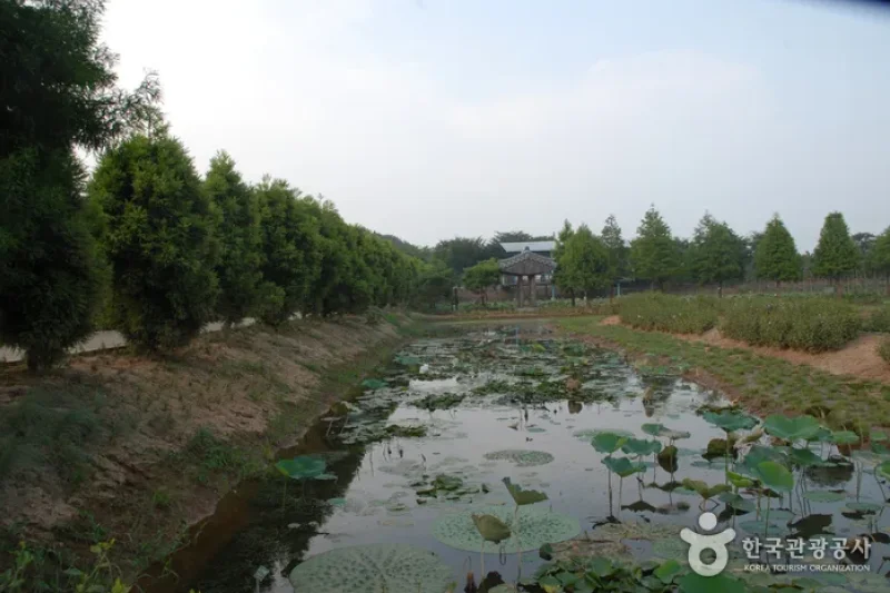 Green Rich Farm  (3/9)