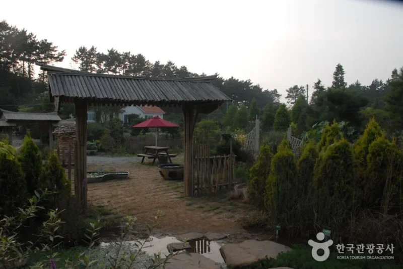 Green Rich Farm  (5/9)