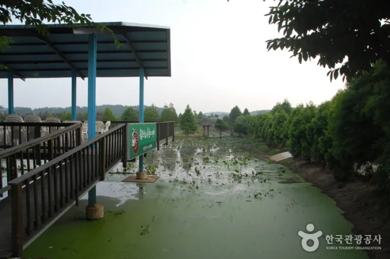 Green Rich Farm  (9/9)