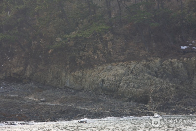 Jeokbyeokgang River  (25/25)