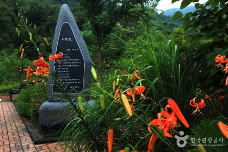 Chilgapsan Recreational Forest (칠갑산자연휴양림) (2/28)