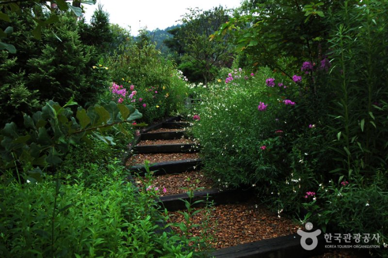 Chilgapsan Recreational Forest (칠갑산자연휴양림) (3/28)