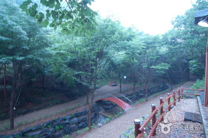 Chilgapsan Recreational Forest (칠갑산자연휴양림) (6/28)