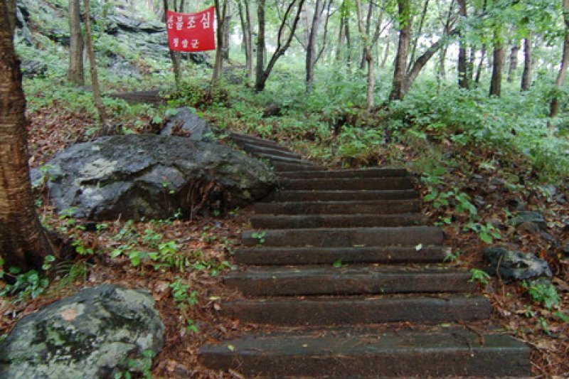 Chilgapsan Recreational Forest (칠갑산자연휴양림) (7/28)