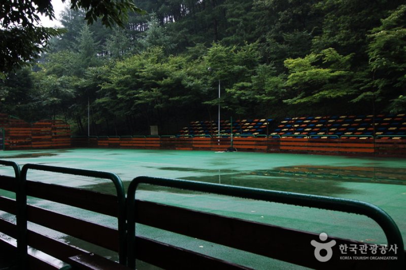 Chilgapsan Recreational Forest (칠갑산자연휴양림) (11/28)