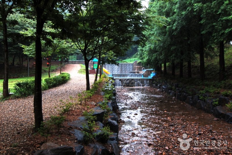 Chilgapsan Recreational Forest (칠갑산자연휴양림) (13/28)