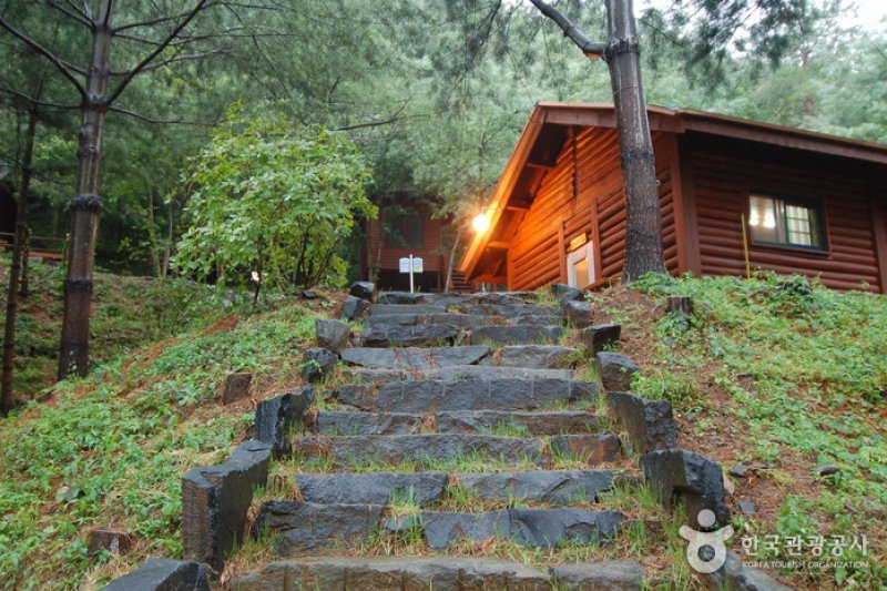 Chilgapsan Recreational Forest (칠갑산자연휴양림) (19/28)