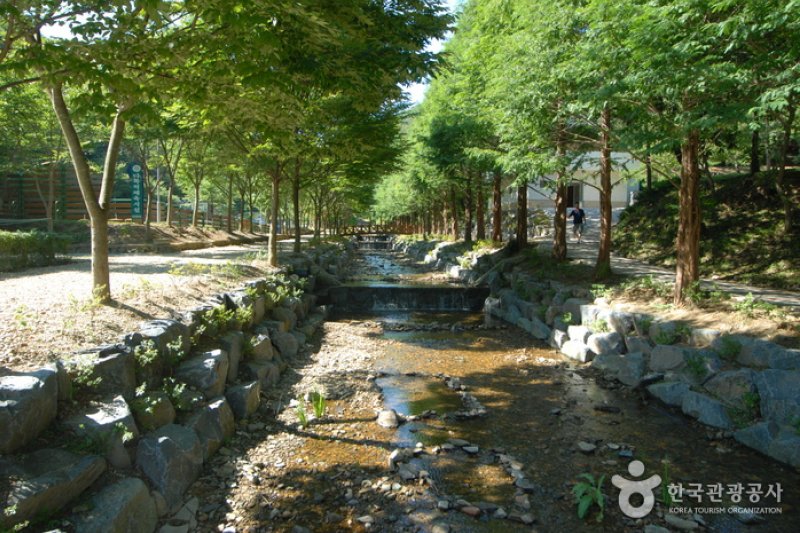 Chilgapsan Recreational Forest (칠갑산자연휴양림) (20/28)
