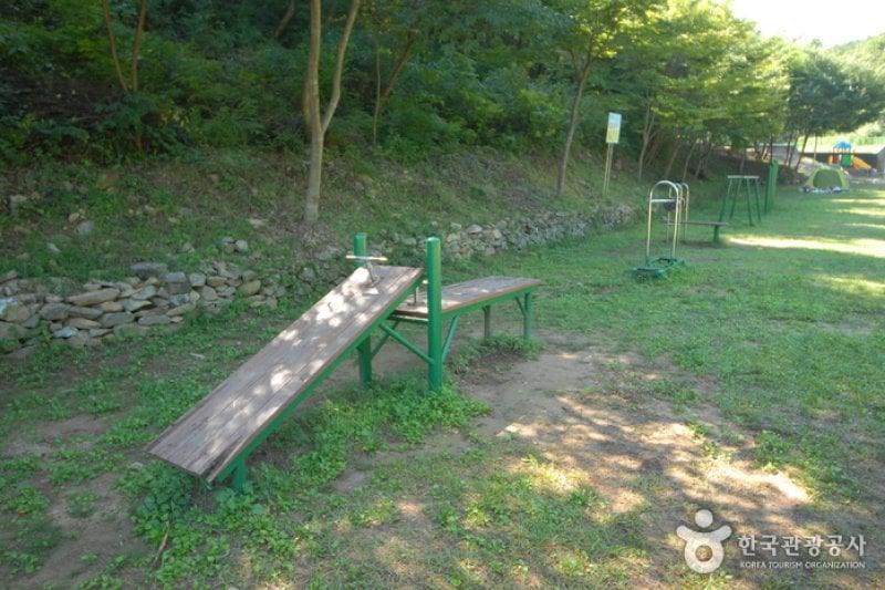 Chilgapsan Recreational Forest (칠갑산자연휴양림) (21/28)