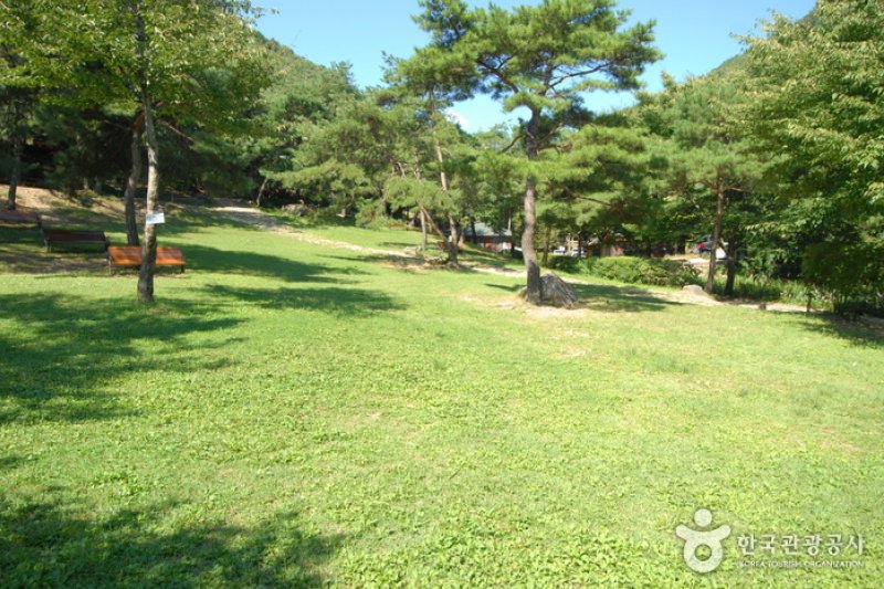 Chilgapsan Recreational Forest (칠갑산자연휴양림) (22/28)