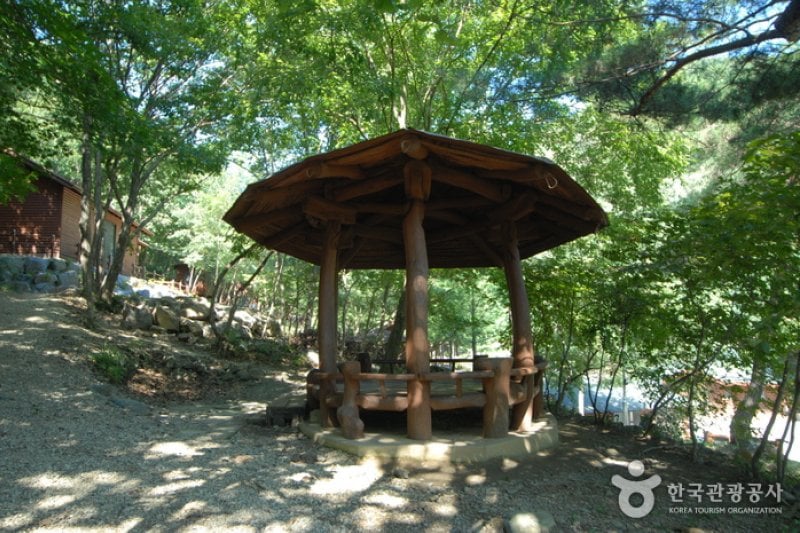Chilgapsan Recreational Forest (칠갑산자연휴양림) (23/28)