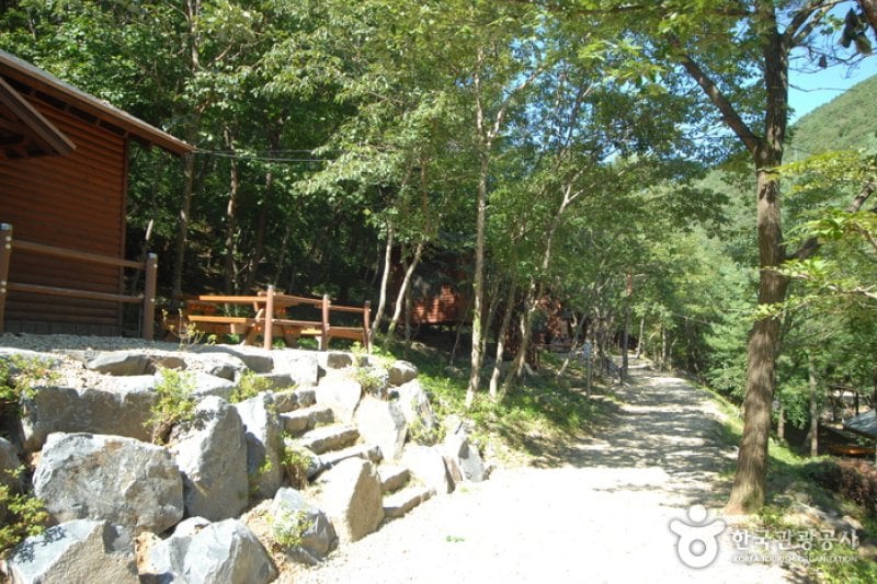 Chilgapsan Recreational Forest (칠갑산자연휴양림) (24/28)