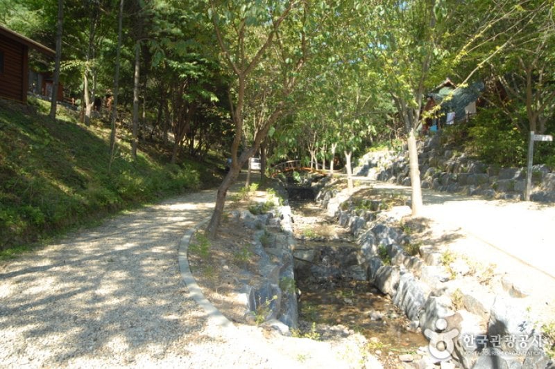 Chilgapsan Recreational Forest (칠갑산자연휴양림) (25/28)