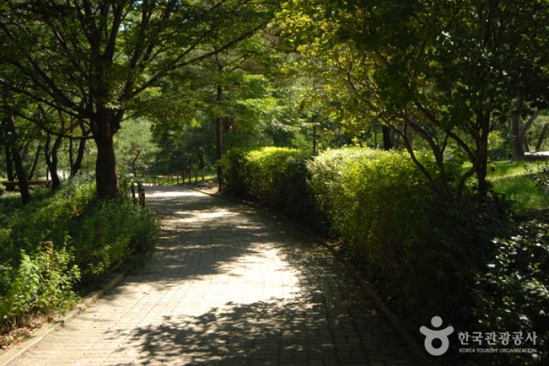 Chilgapsan Recreational Forest (칠갑산자연휴양림) (26/28)