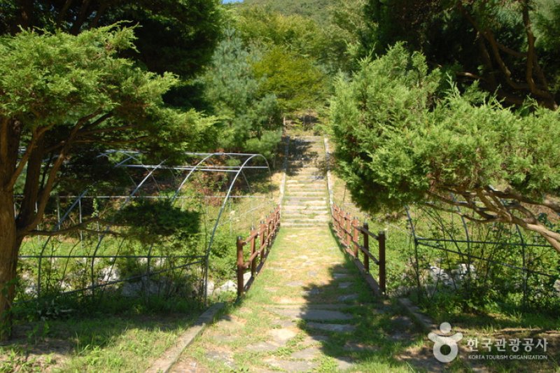 Chilgapsan Recreational Forest (칠갑산자연휴양림) (27/28)