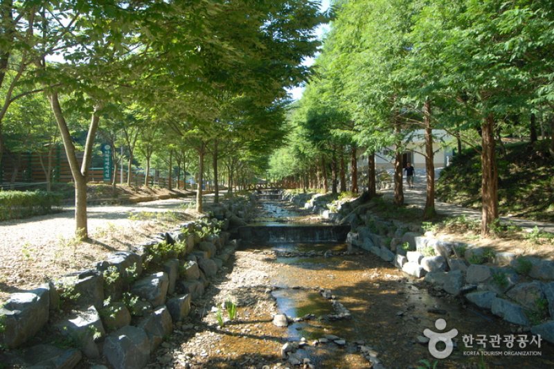 Chilgapsan Recreational Forest (칠갑산자연휴양림) (28/28)