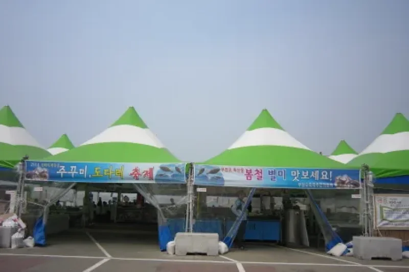Muchangpo Mystic Sea Road Jukkumi and Dodari Festival  (3/6)