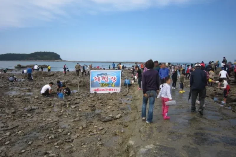 Muchangpo Mystic Sea Road Jukkumi and Dodari Festival  (4/6)