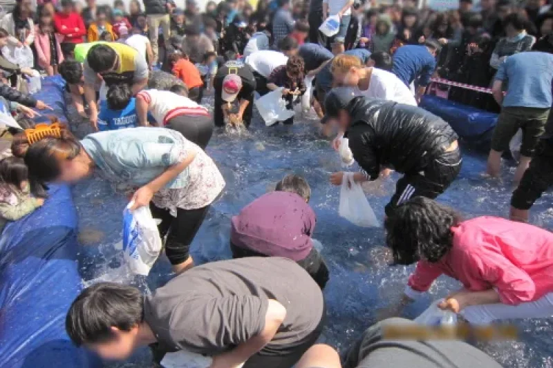 Muchangpo Mystic Sea Road Jukkumi and Dodari Festival  (6/6)