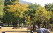 Cheonan Three-way Intersection Park 