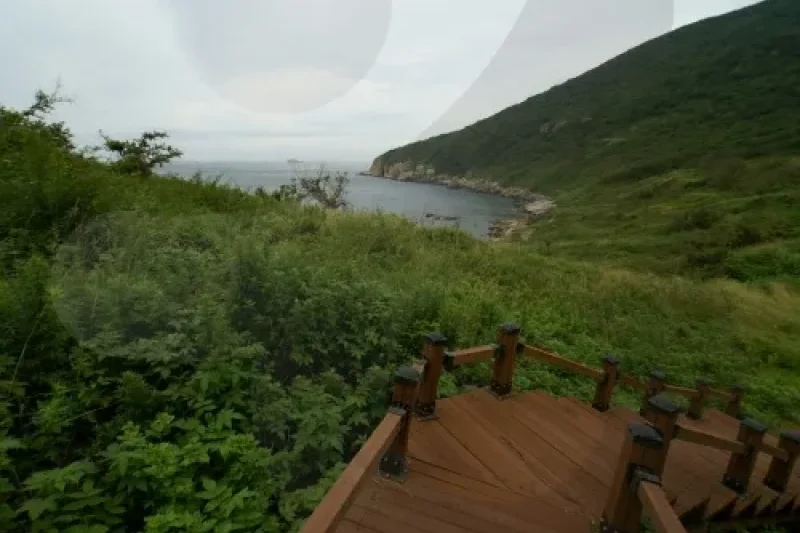 Oeyeondo Island (외연도) (6/14)