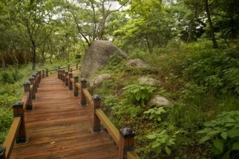 Oeyeondo Island (외연도) (7/14)