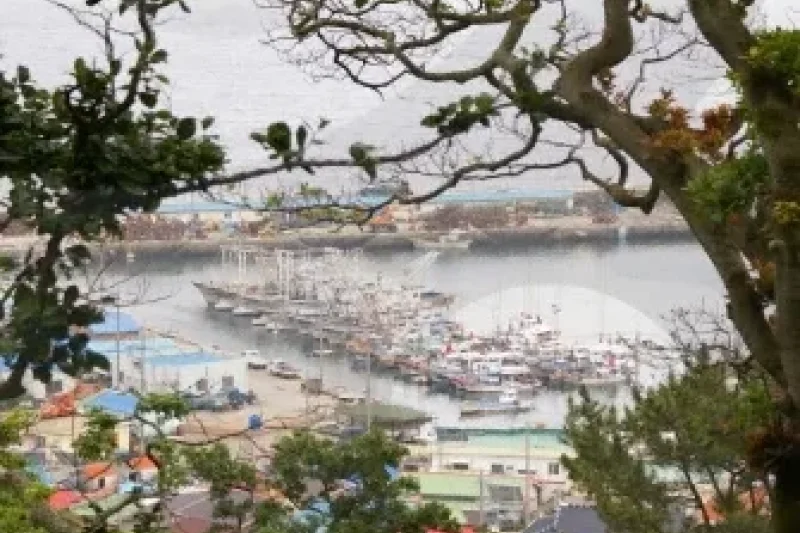 Oeyeondo Island (외연도) (11/14)
