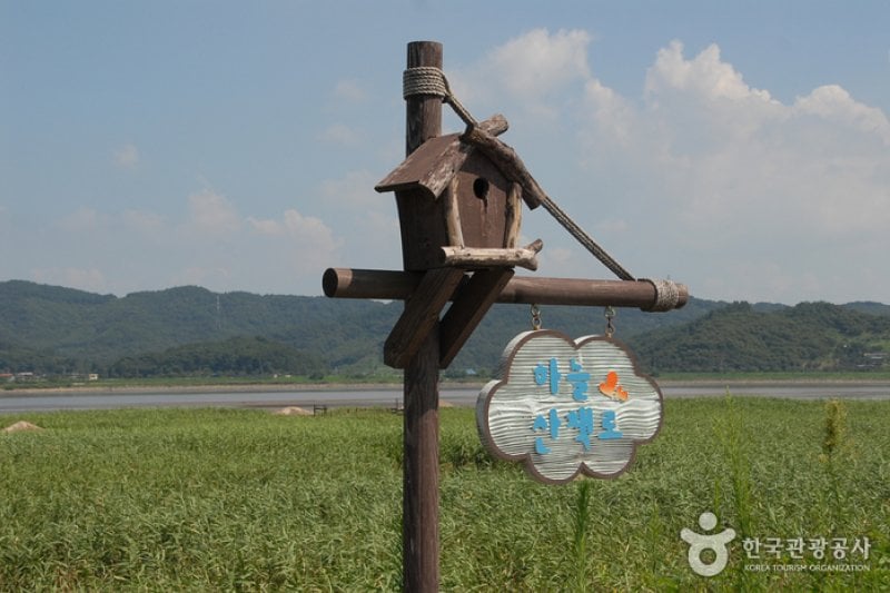 Sinseong-ri Reed Field  (2/19)
