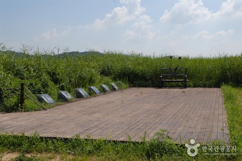 Sinseong-ri Reed Field  (4/19)