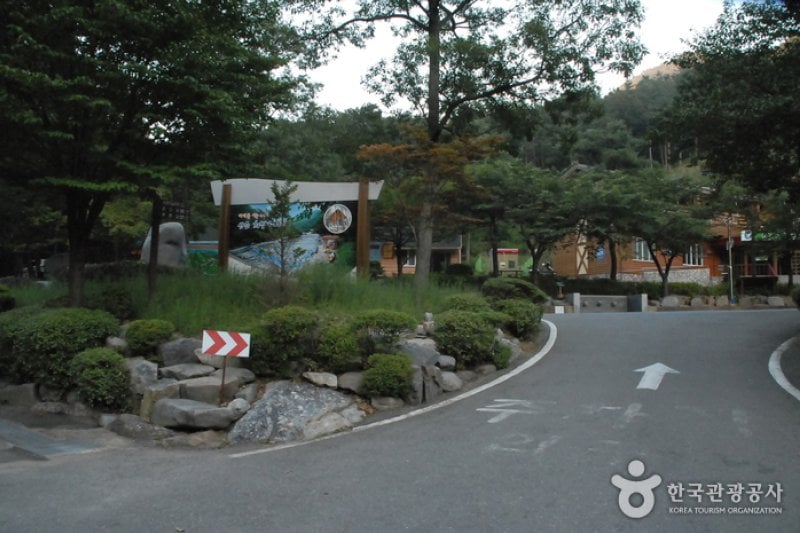 Seongjusan Recreational Forest (성주산자연휴양림) (7/15)